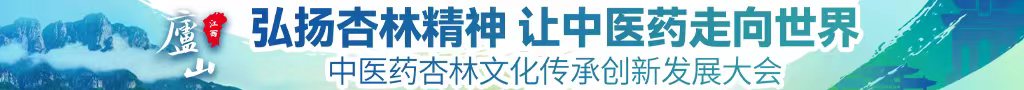 黄色视频日逼视频中医药杏林文化传承创新发展大会